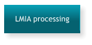 LMIA processing